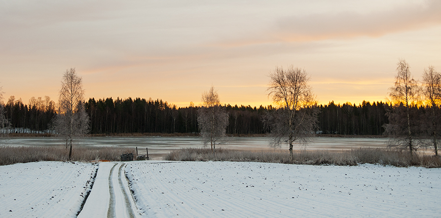 Vintermorgon vid sjö med snö och gul himmel