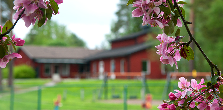 Tallbackens förskola en sommardag