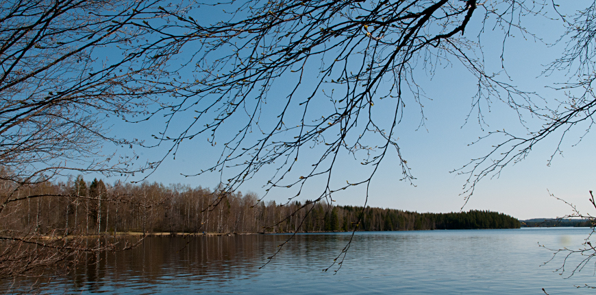 Vy över sjö