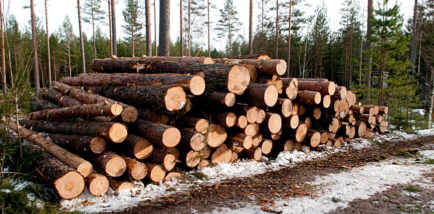 Hofors kommun
