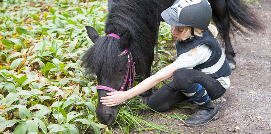 Flicka som klappar häst